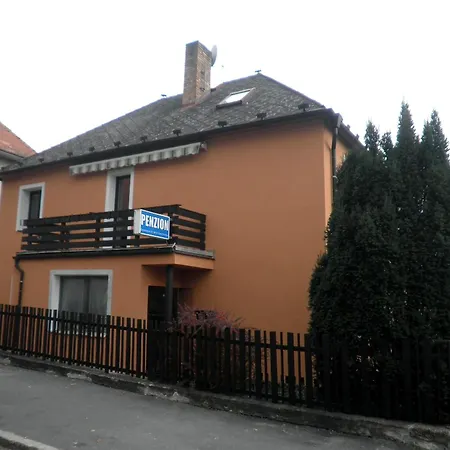 Zavodsky Guest house 3*