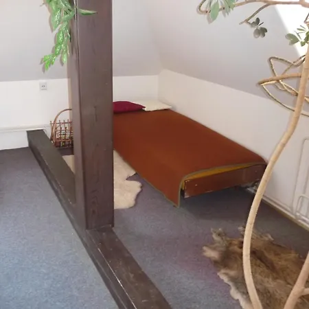 Zavodsky Guest house 3*