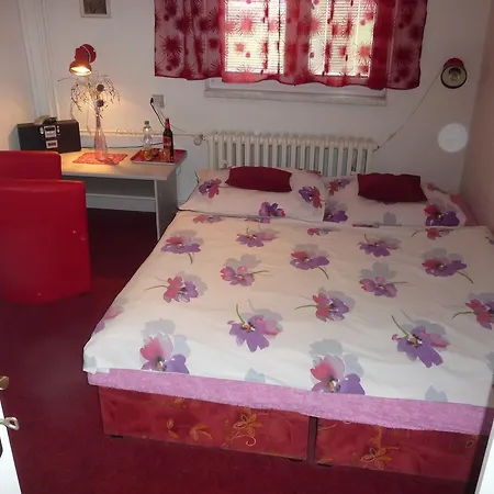 Zavodsky Guest house 3*
