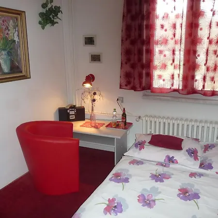 Zavodsky Guest house 3*
